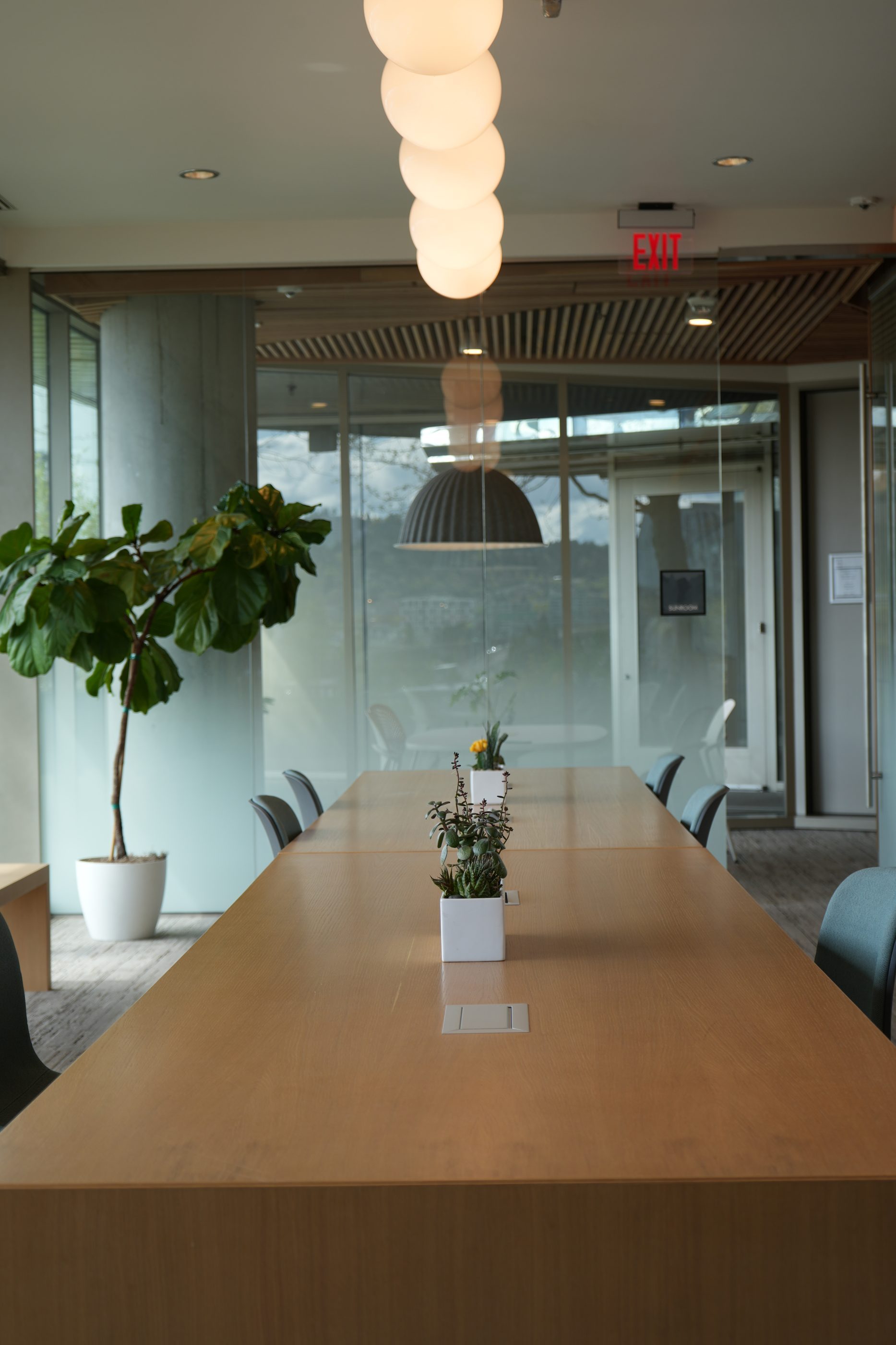 An empty meeting room with a long table and plants