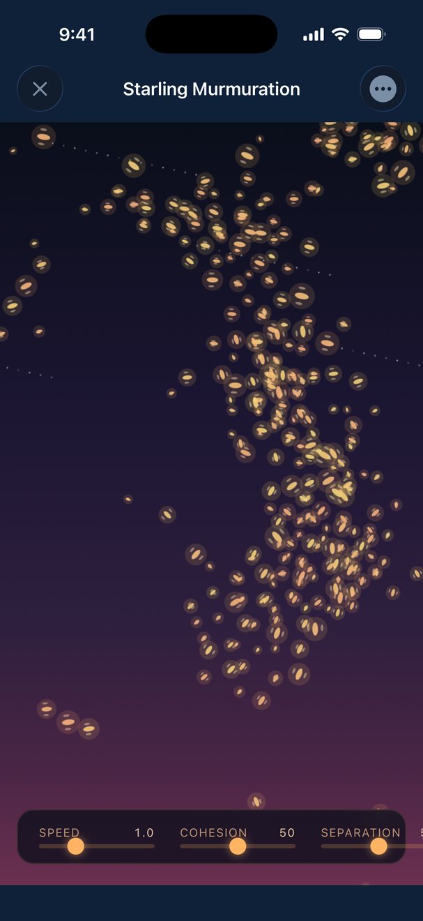 A flocking simulation Budulai built: hundreds of glowing starlings swarming against a sunset sky, with speed, cohesion and separation sliders